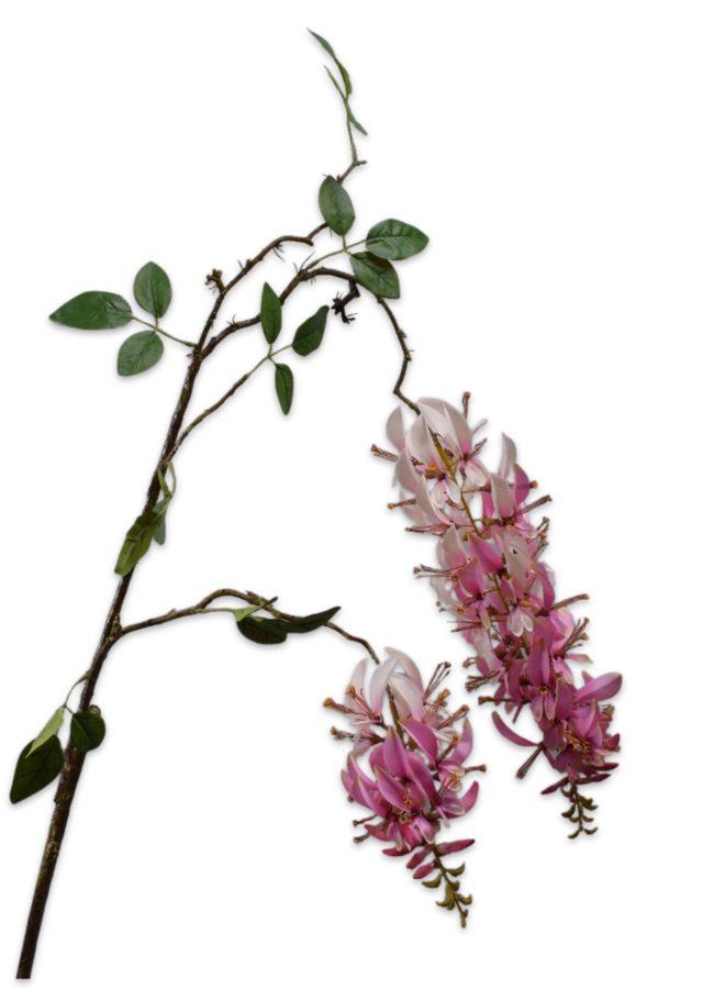 MACUNA TAK ROZE  193 cm
