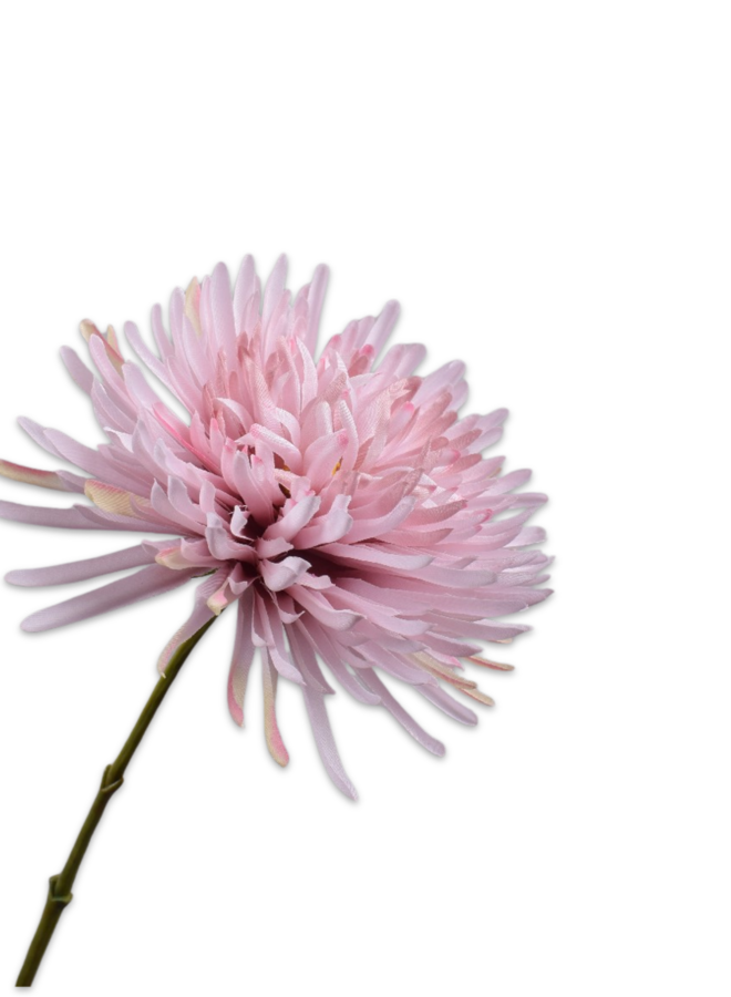CHRYSANT TAK LILA 62 cm