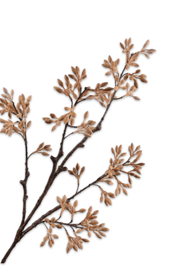 BESSENTAK LICHT BRUIN  93 cm