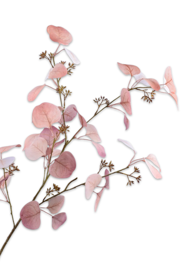 EUCALYPTUS TAK LICHT ROZE 114 cm