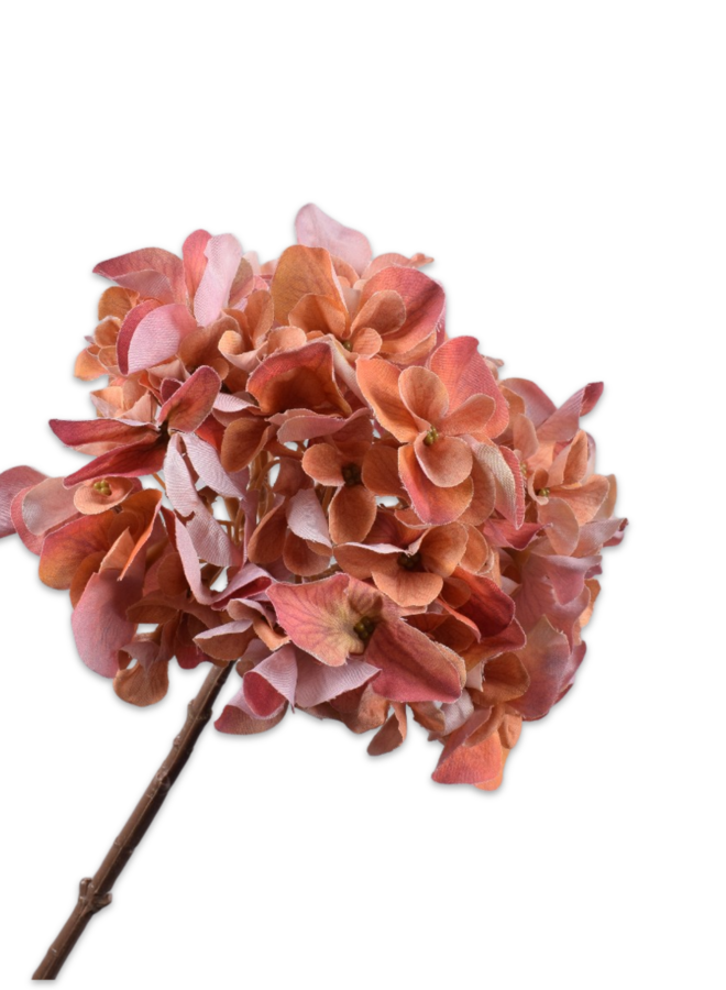 HORTENSIA STEEL ORANJE/ROZE 68 cm