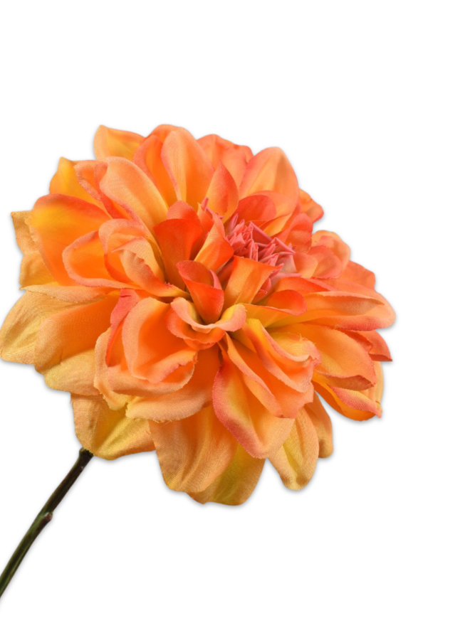 DAHLIA TAK ORANJE 68 cm