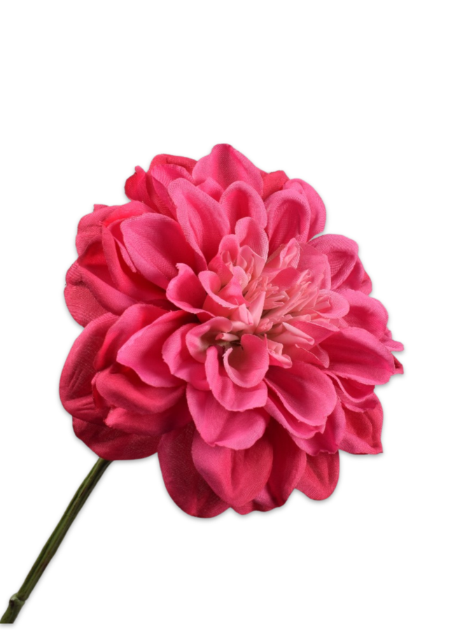 DAHLIA TAK DONKER ROZE 68 cm
