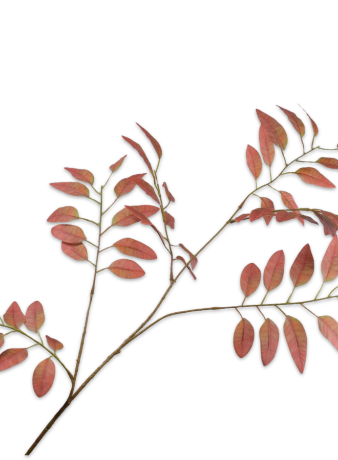 BLADTAK BRUIN 107 cm