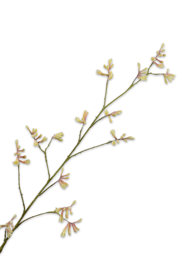 KANGAROEPOOTJE TAK ROZE GROEN 121 cm