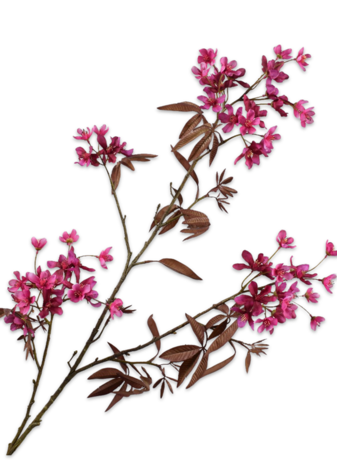 BLOESEM TAK BEAUTY 108 cm