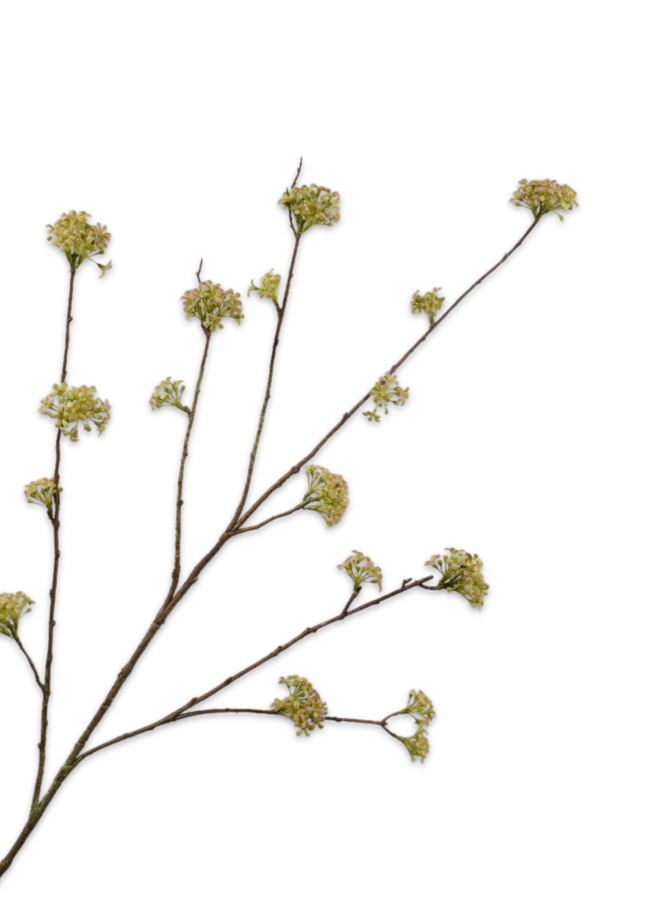 DILLE TAK GROEN 116 cm