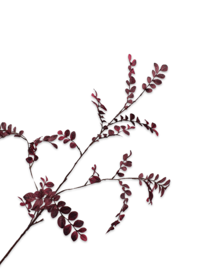 BLADTAK DONKERPAARS 110 cm