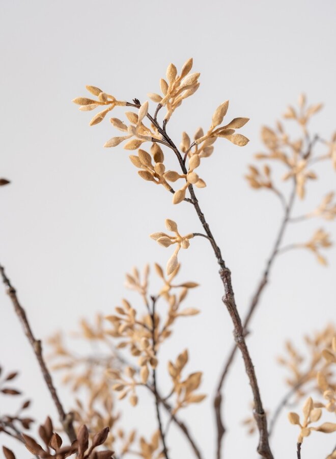 BESSENTAK LICHT BRUIN  93 cm