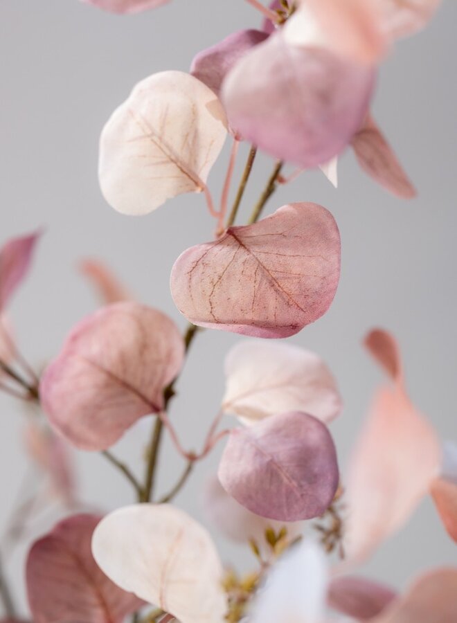 EUCALYPTUS TAK LICHT ROZE 114 cm