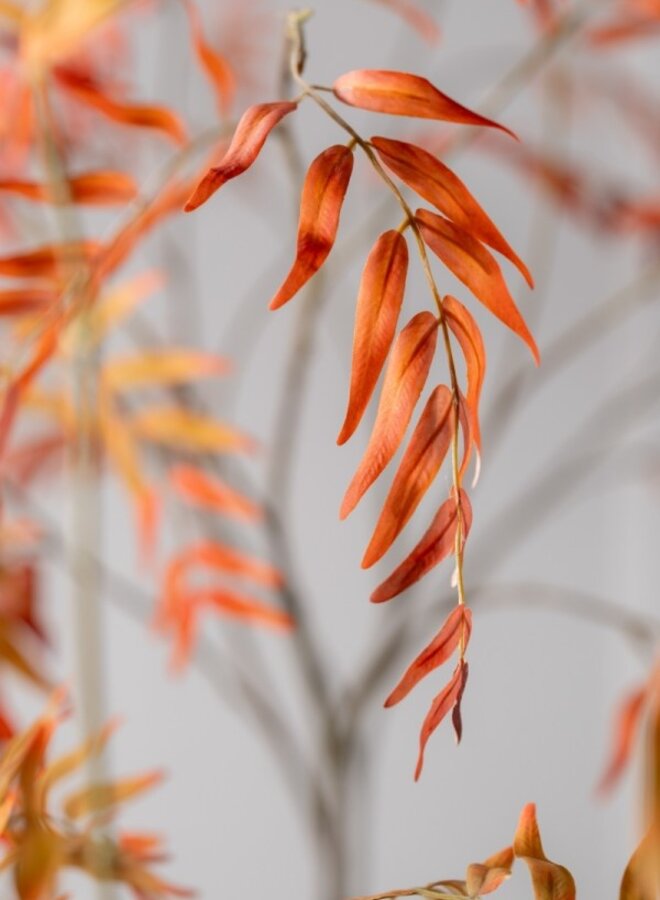 BLADTAK ORANJE ROOD 130 cm