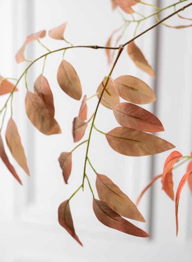 BLADTAK BRUIN 107 cm