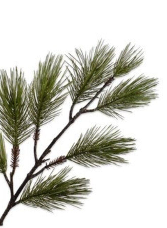 NAALDTAK DEN GROEN 98 cm