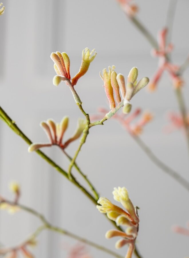 KANGAROEPOOTJE TAK ROZE GROEN 121 cm