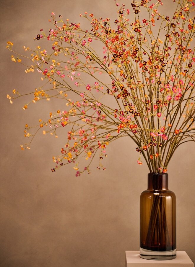 VERGEETMENIET TAK PAARS