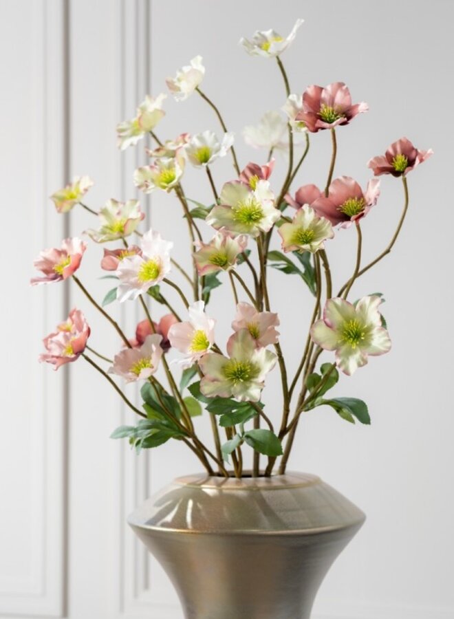 HELLEBORUS TAK LAVENDEL GROEN 77 cm