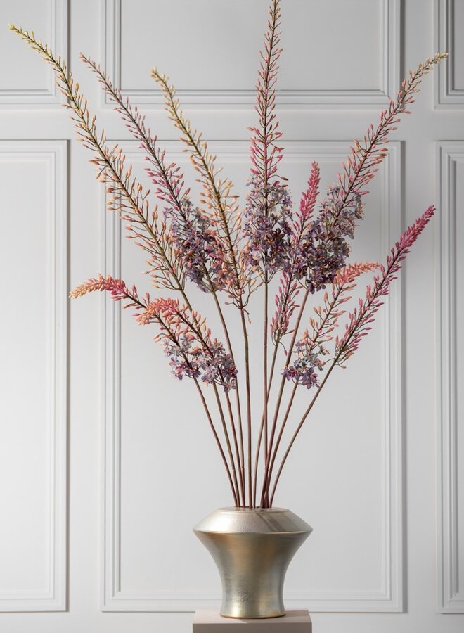 EREMURUS STEEL GROEN MAUVE 107 cm