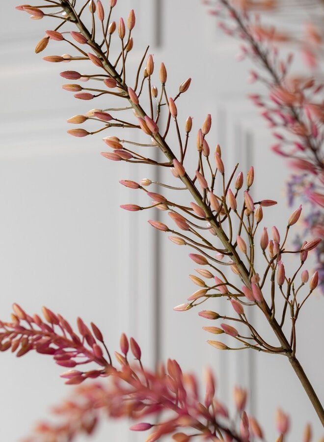 EREMURUS STEEL GROEN MAUVE 107 cm