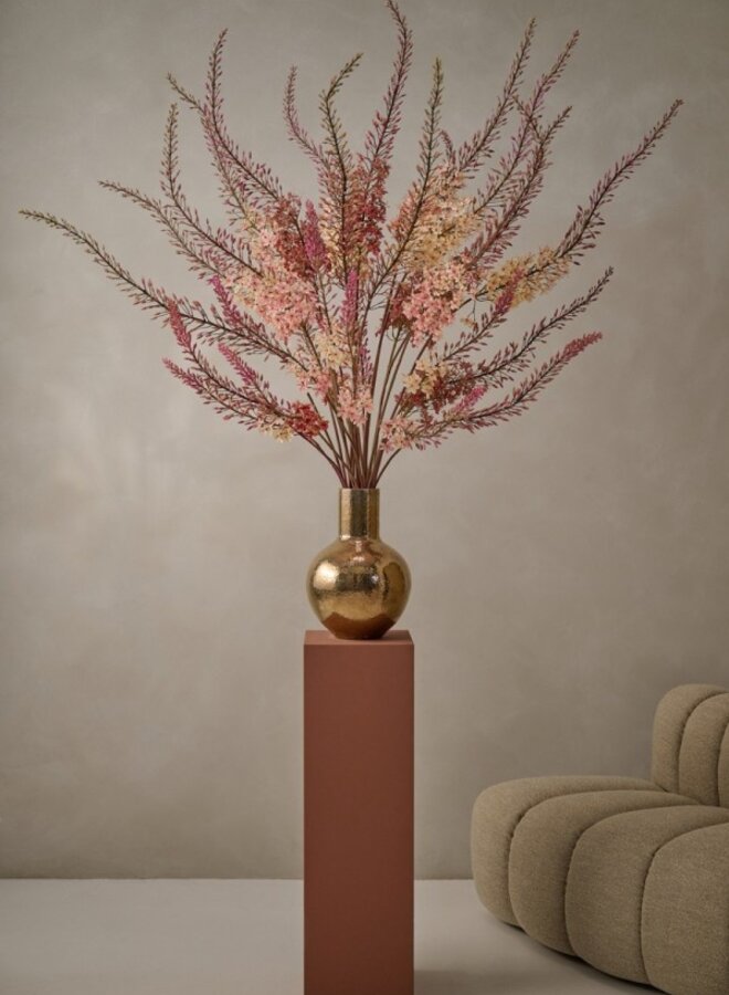 EREMURUS STEEL CREME