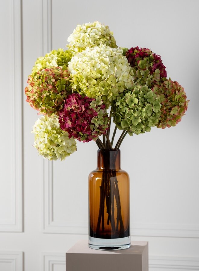 HORTENSIA TAK BORDEAUX GROEN 70 cm