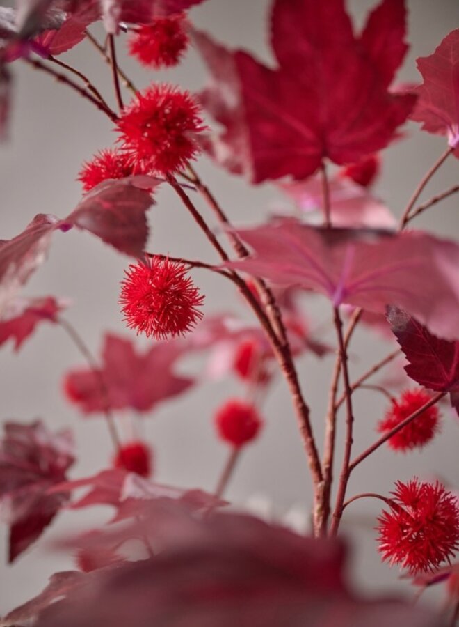 KASTANJE TAK BORDEAUX