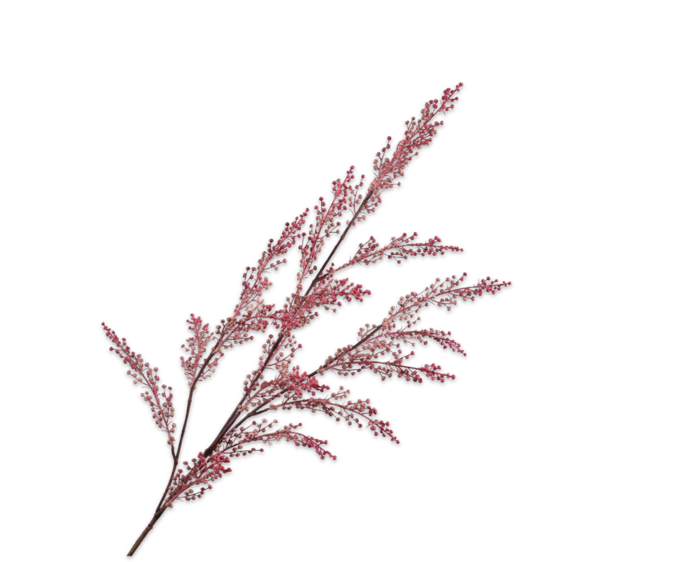 Bessentak Mauve