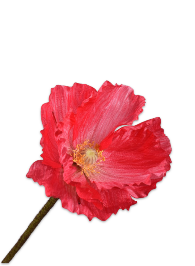 KLAPROOS STEEL BEAUTY 63 cm