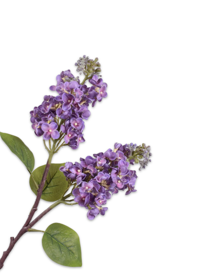 SERING TAK PAARS  67 cm