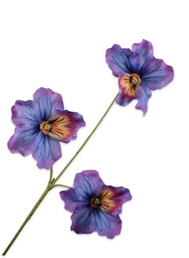 VIOOL LAVENDEL  65 cm