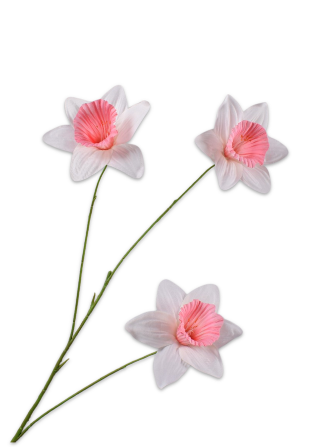 NARCIS TAK WIT/ROZE 100 cm