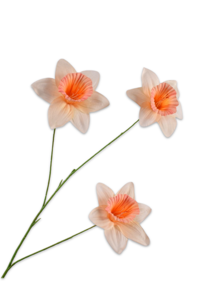 NARCIS TAK ZALM  100 cm