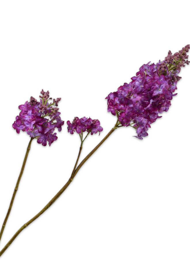 SERING TAK PAARS 110 cm