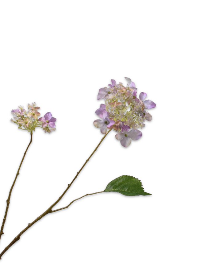 HORTENSIA TAK LAVENDEL 71 cm