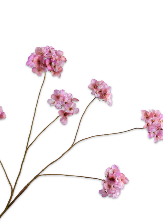 HORTENSIA TAK ROZE 121 cm