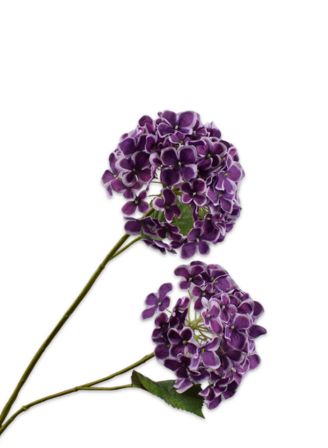 HORTENSIA VERTAKT LAVENDEL 82 cm