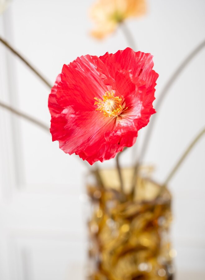 KLAPROOS STEEL BEAUTY  63 cm