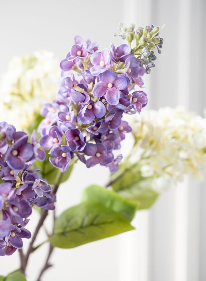 SERING TAK PAARS  67 cm