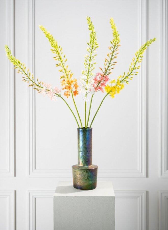 EREMURUS STEEL ORANJE  107 cm