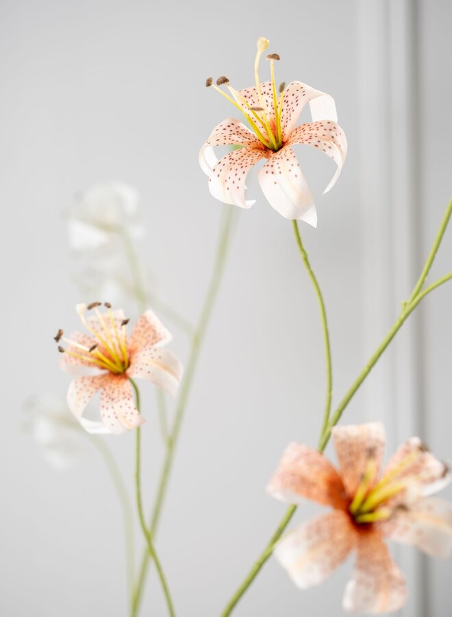 LELIE TAK PERZIK  108 cm