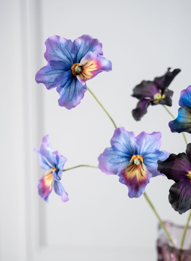 VIOOL LAVENDEL 65 cm