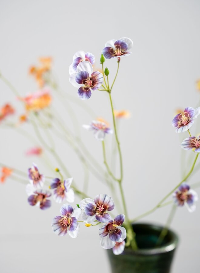 VIOOL TAK LILA PAARS  62 cm