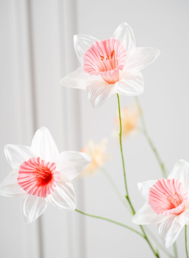 NARCIS TAK WIT/ROZE 100 cm