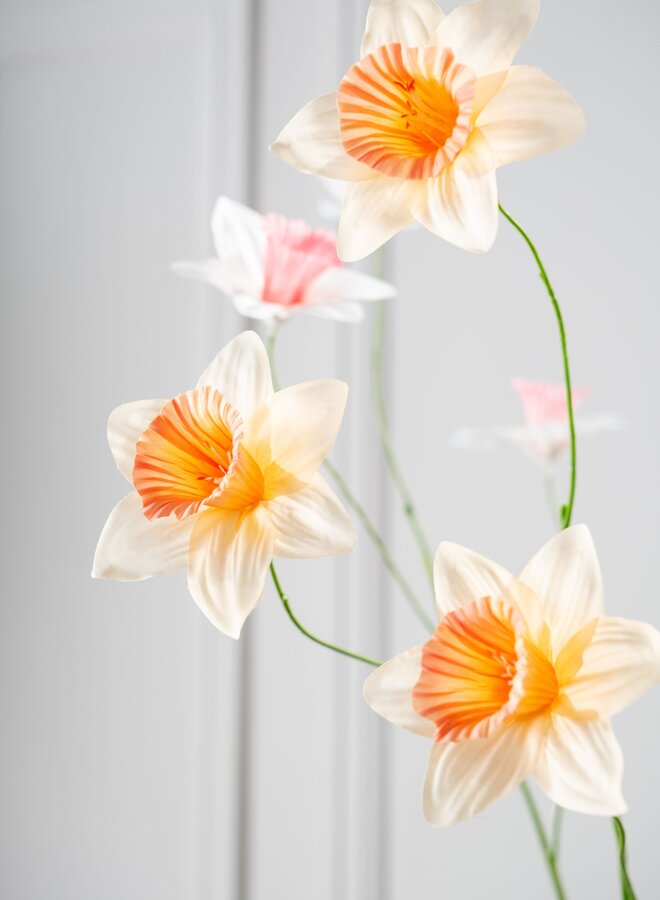 NARCIS TAK ZALM 100 cm