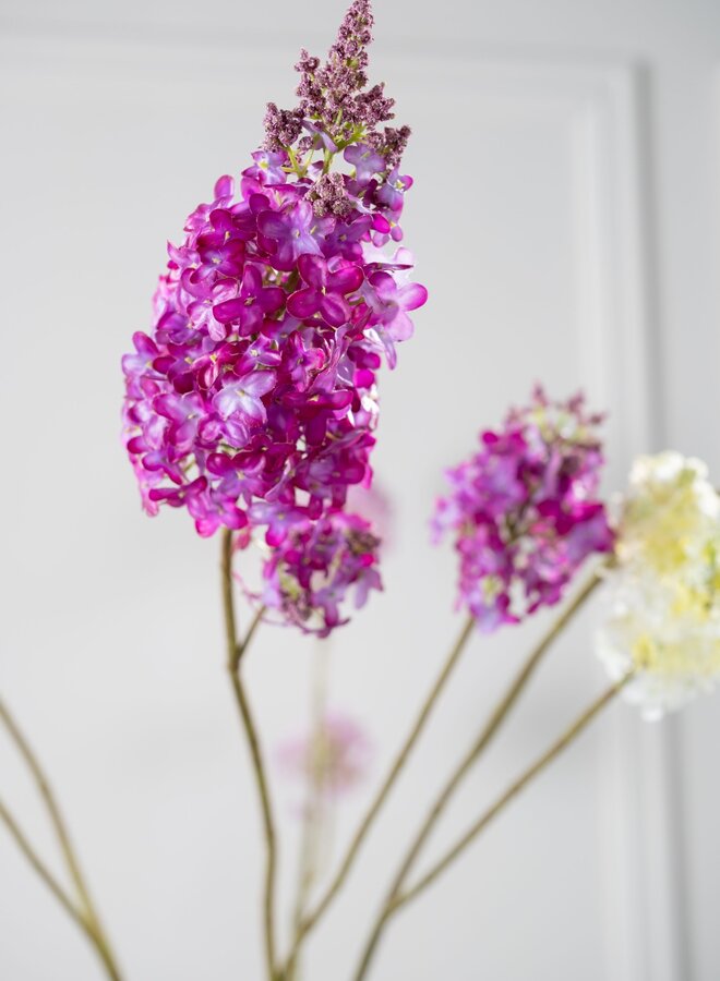 SERING TAK PAARS 110 cm