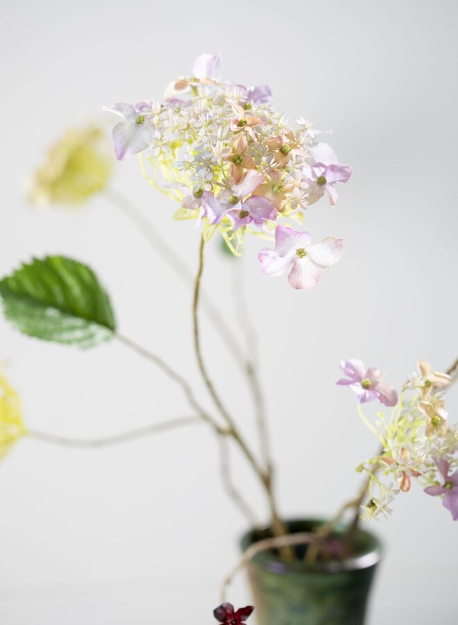 HORTENSIA TAK LAVENDEL 71 cm