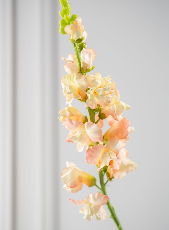 LEEUWEBEK STEEL PERZIK  81 cm