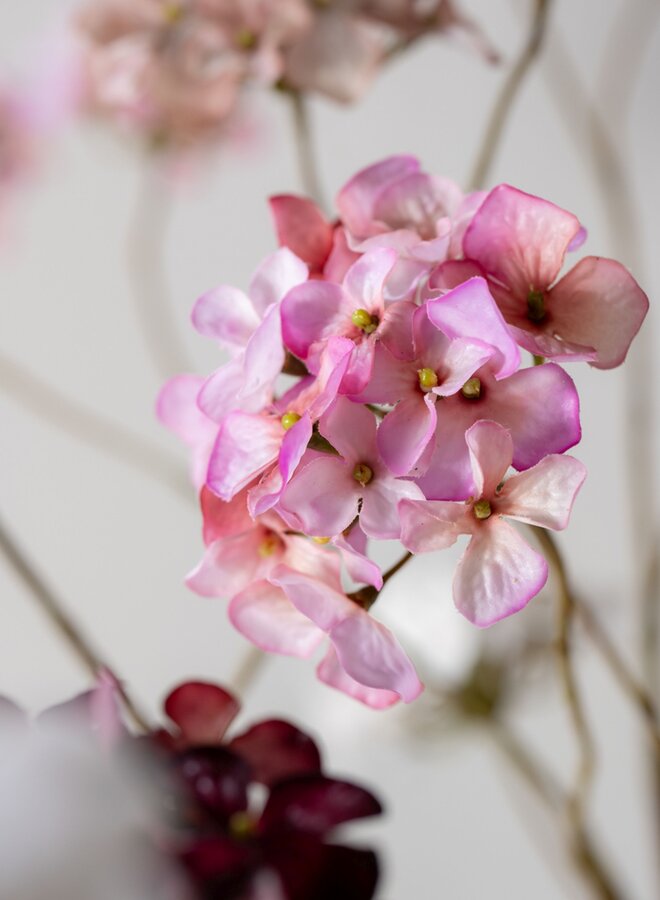 HORTENSIA TAK ROZE 121 cm