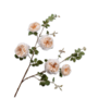 TUIN ROOS TAK CREME 112 cm