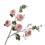 TUIN ROOS TAK ROZE 112 cm