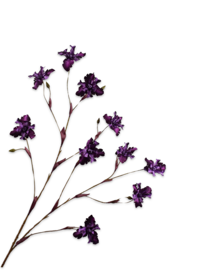 IRIS TAK PAARS 125 cm